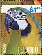 Blue-and-yellow Macaw Ara ararauna  2014 Macaws Sheet, birds alike, backgrounds differs