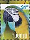 Blue-and-yellow Macaw Ara ararauna  2014 Macaws Sheet, birds alike, backgrounds differs