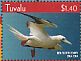 Red-footed Booby Sula sula  2015 Birds of the South Pacific Sheet