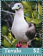 Red-footed Booby Sula sula  2019 Seabirds Sheet