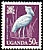 Shoebill Balaeniceps rex  1965 Birds 