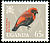 Black-winged Red Bishop Euplectes hordeaceus  1965 Birds 