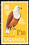African Fish Eagle Haliaeetus vocifer  1965 Birds 