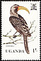 Eastern Yellow-billed Hornbill Tockus flavirostris  1982 Birds 
