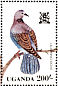 Laughing Dove Spilopelia senegalensis  1982 Birds  MS