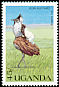 Kori Bustard Ardeotis kori  1990 Wild birds of Uganda 