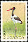 Saddle-billed Stork Ephippiorhynchus senegalensis  1990 Wild birds of Uganda 