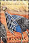 Vulturine Guineafowl Acryllium vulturinum  1990 Wild birds of Uganda  MS MS