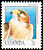 Red-necked Falcon Falco chicquera  1992 Birds 