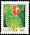 Red-headed Lovebird Agapornis pullarius