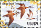 White-faced Whistling Duck Dendrocygna viduata  1995 Waterfowl and wetland birds of Uganda Sheet