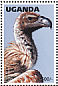 White-backed Vulture Gyps africanus  1996 Wildlife of Uganda 8v sheet