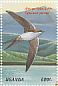 African Palm Swift Cypsiurus parvus  1999 Birds of Uganda Sheet