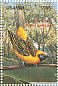Fox's Weaver Ploceus spekeoides  1999 Birds of Uganda Sheet