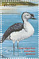 Knob-billed Duck Sarkidiornis melanotos  1999 Birds of Uganda Sheet