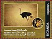 Common Ostrich Struthio camelus  2012 Endangered animals  MS