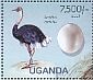 Common Ostrich Struthio camelus  2013 Endangered and vulnerable bird species  MS