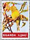 Atlantic Canary Serinus canaria