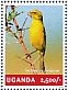 Yellow Canary Crithagra flaviventris  2014 Canary Sheet