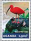 Scarlet Ibis Eudocimus ruber  2014 Waterbirds Sheet