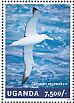 Southern Royal Albatross Diomedea epomophora  2014 Waterbirds  MS