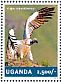 Cape Vulture Gyps coprotheres  2014 Vultures Sheet