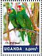 Red-lored Amazon Amazona autumnalis  2014 Parrots Sheet
