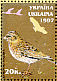 Eurasian Skylark Alauda arvensis