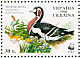 Red-breasted Goose Branta ruficollis  1998 WWF Sheet, p 11½