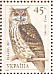 Eurasian Eagle-Owl  Bubo bubo