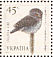 Eurasian Pygmy Owl Glaucidium passerinum  2003 Owls Sheet