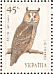 Long-eared Owl Asio otus