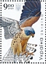 Lesser Kestrel Falco naumanni  2020 Birds of prey Sheet