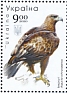 Golden Eagle Aquila chrysaetos  2020 Birds of prey Sheet