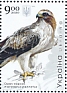 Booted Eagle Hieraaetus pennatus  2020 Birds of prey Sheet