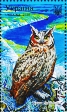 Eurasian Eagle-Owl Bubo bubo