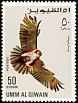 Red-tailed Hawk Buteo jamaicensis  1968 Falcons and hawks 