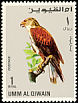 Ferruginous Hawk Buteo regalis  1968 Falcons and hawks 