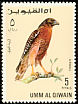 Red-shouldered Hawk Buteo lineatus  1968 Falcons and hawks 
