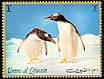 Gentoo Penguin Pygoscelis papua  1972 Penguins 