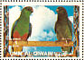 Mulga Parrot Psephotellus varius  1972 Birds 