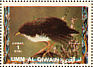 Red-and-white Crake Laterallus leucopyrrhus  1972 Birds 