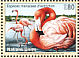 American Flamingo Phoenicopterus ruber  1998 Endangered species 4v set