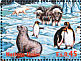 King Penguin Aptenodytes patagonicus  1998 International year of the ocean 12v sheet
