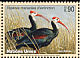Southern Bald Ibis Geronticus calvus  2003 Endangered species 