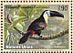 Channel-billed Toucan Ramphastos vitellinus  2003 Endangered species 
