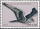 Saker Falcon Falco cherrug  2020 Endangered species 4v set