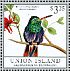 Buff-bellied Hummingbird Amazilia yucatanensis  2013 Hummingbirds Sheet