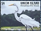 Great Egret Ardea alba