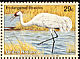 Whooping Crane Grus americana